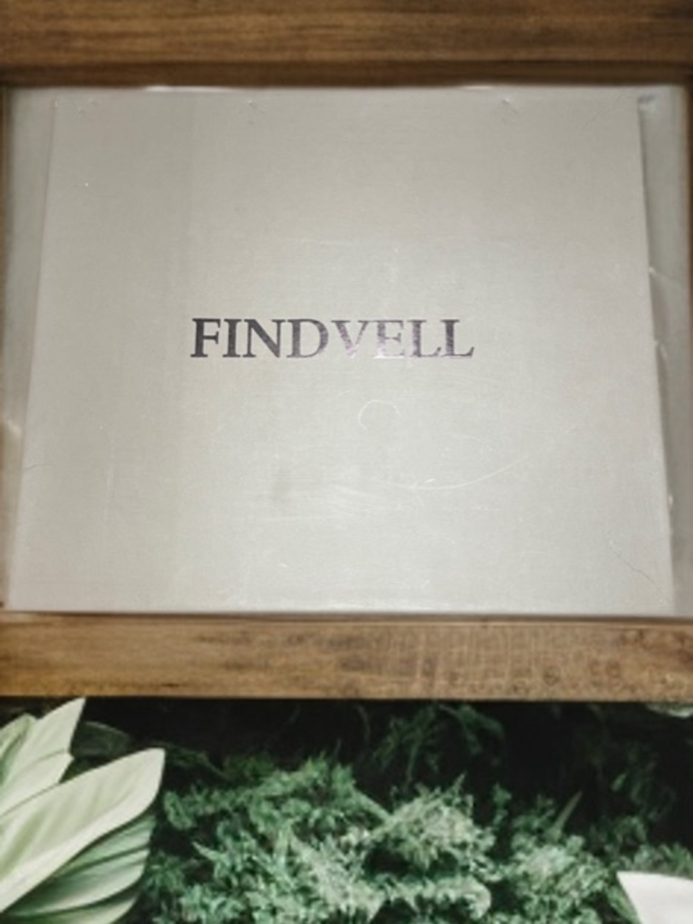 Findvell Luxury Shoe Box In Light Beige